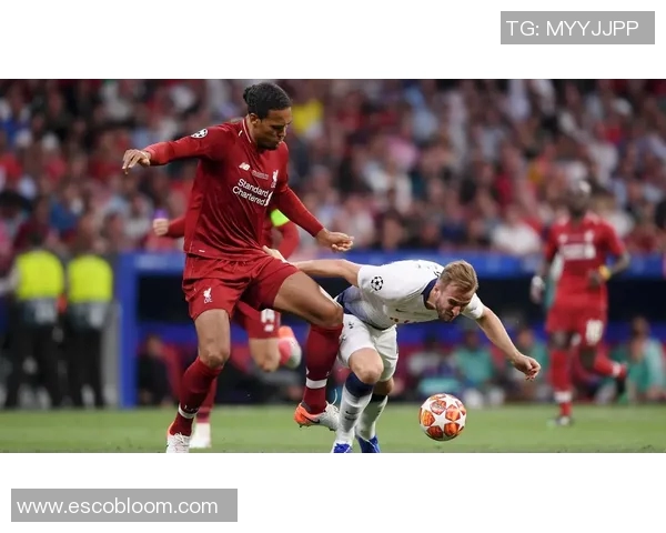 足球明星范戴克身高揭秘及其在球场上的影响力分析