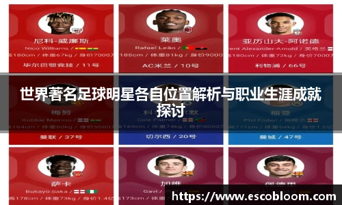 世界著名足球明星各自位置解析与职业生涯成就探讨